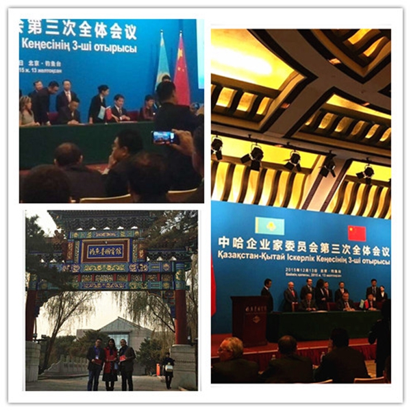 中哈企業(yè)家委員會 中哈企業(yè)家委員會